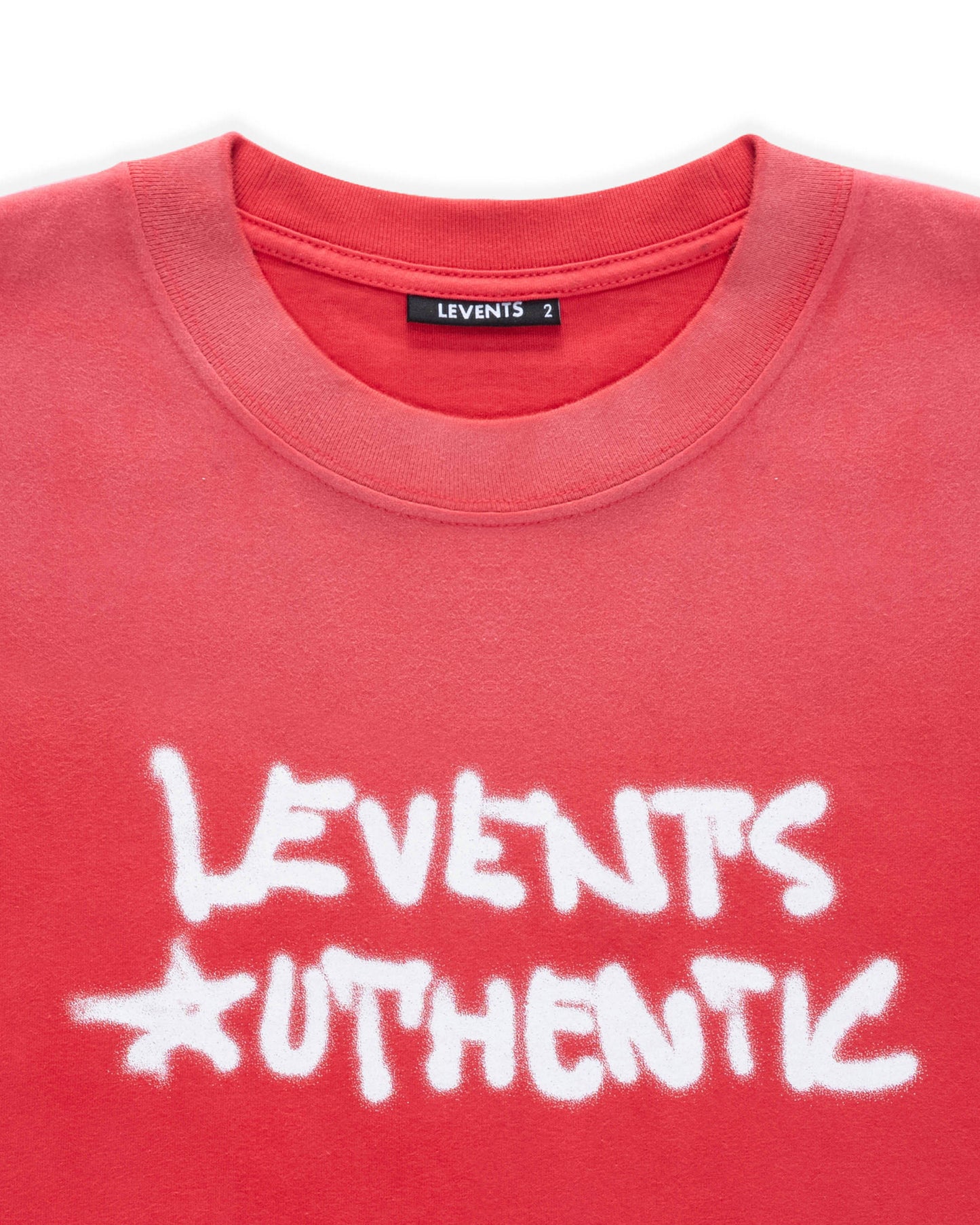 Levents® Urban Spray Semi-Oversized Tee