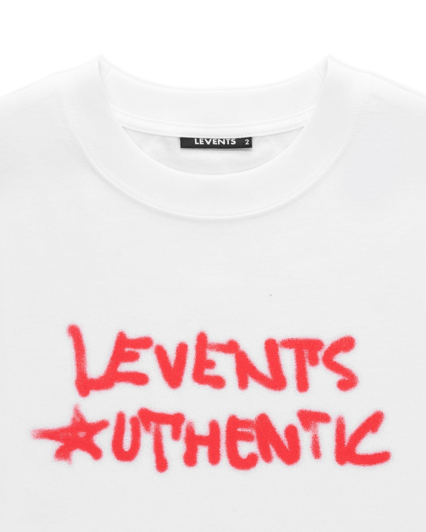 Levents® Urban Spray Semi-Oversized Tee